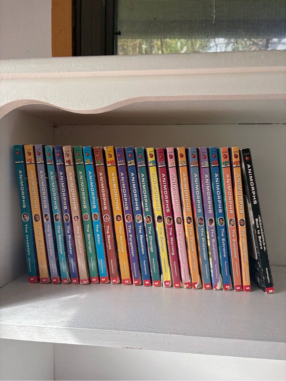 Vintage Animorphs K.A. Applegate Scholastic book lot 23 novels